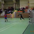 Halwka3 60